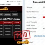 470166440_122225569382026165_6027060442328699393_n